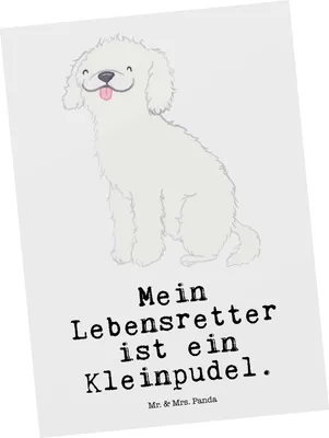 Produktbild von Mr. & Mrs. Panda Postkarte Kleinpudel Lebensretter - Weiß - Geschenk, Ansichtskarte, Pudel, Ansichtskarten, bildkarte, Grußkarte, Postkarten