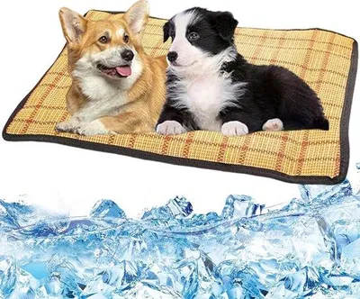 Obrázok produktu pre Chladiaca podložka pre domáce zvieratá, 64 x 48 cm