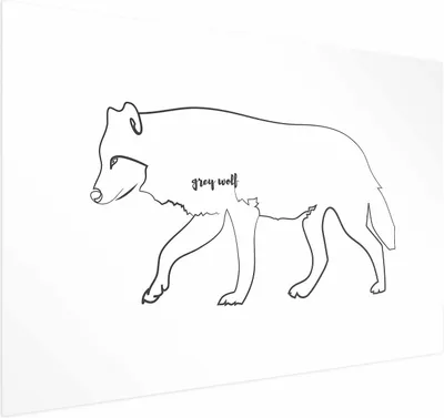 Produktbild von Posterpapier Poster - Wolf 90x60 cm Tiere g-A-0169-ao-a