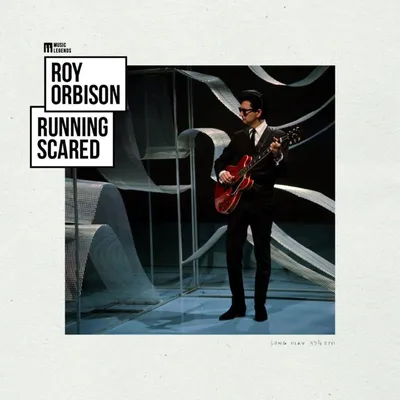 Obrázek produktu pro Roy Orbison: (remasterováno) (180g)