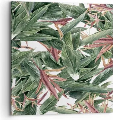 Produktbild von Bild auf Leinwand - Leinwandbild - Pflanze Blatt Blume - 70x70cm - Wand Bild - Wanddeko - Wandbilder - Leinwanddruck - Bilder - Kunstdruck - Wanddekoration - Leinwand bilder - Wandkunst - AC70x70-3844