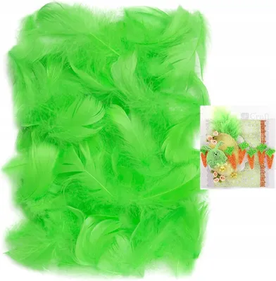 Image de DECORATIVE GREEN SPRINGS décoratif 10 g 5-12 cm Scrapbooking DpCraft