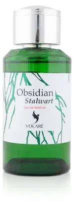 Obrázek produktu pro Parfémovaná voda - OBSIDIAN STALWART - Volare, Objem: 100ml
