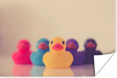 Produktbild von MuchoWow® Poster Gummi-Enten - Farben 120x80 cm - Bilder