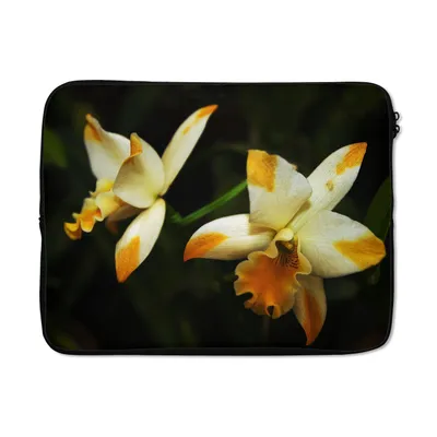 Produktbild von MuchoWow® Laptop Hülle 17 Zoll Laptoptasche Zwei Orchideenblüten - Zipper - Schutzabdeckung