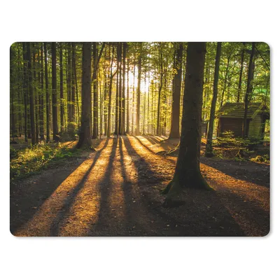 Obrázek produktu pro Podložka pod myš - Slunce - Stromy - Les - Krajina - Příroda - 23x19cm - Podložka pod myš