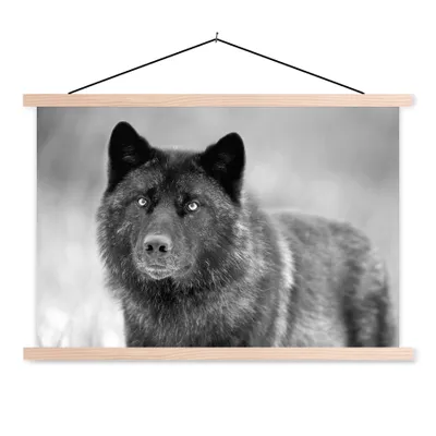 Produktbild von MuchoWow® Textilposter Wolf - Nahaufnahme - Schwarz - Weiß 120x80 cm mit holzfarbenen Rahmen - Aufhängeset