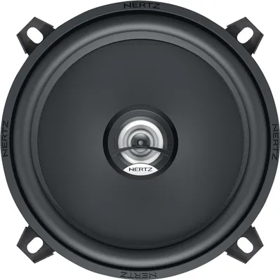 A close-up, front-facing view of a car speaker.