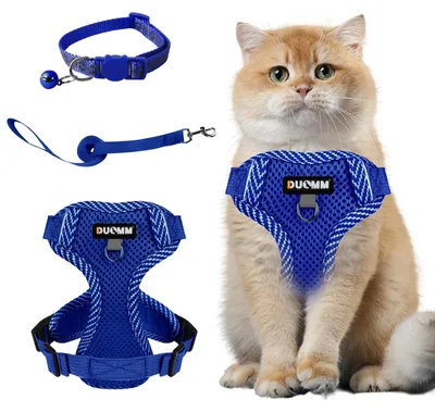Immagine prodotto di Imbracatura regolabile per gatti e cani, con guinzaglio
