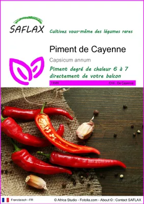 Image de SAFLAX - Piment de Cayenne - 20 graines - Capsicum