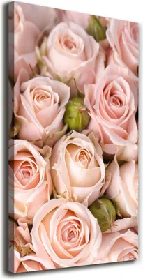 Produktbild von Tulup Leinwandbild® - 70x140cm - Wandkunst - Drucke auf Leinwand - Leinwanddruck - Wohnzimmer Wanddekoration XXL - Wohnung Deko Kunstdrucke - Blumen & Pflanzen - Rosa - Blumenstrauß aus Rosen