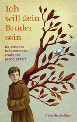 Produktbild von Ich will dein Bruder sein