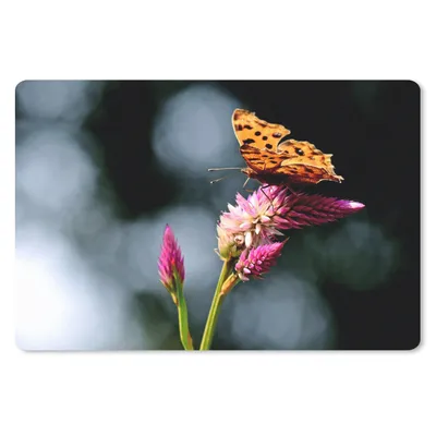 Produktbild von MuchoWow® Schreibtischunterlage Schmetterling - Blumen - Insekten 60x40 cm - XXL Mauspad - Großes Mauspad