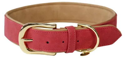 Immagine prodotto di Collare per cani Kentucky Dogwear in  rosso M