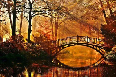 Produktbild von Papermoon Brug in Park Vlies Fototapete 350x260cm 7-bahnen.