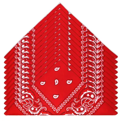 Imagen del producto de Conjunto de 12 bandanas con estampado paisley, pañuelos para cuello para hombres y mujeres