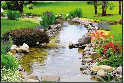 Produktbild von Wallario Wandbild Blumen am Teich, Größe: 61 x 91,50 cm, Poster mit schwarzem Aluminiumrahmen