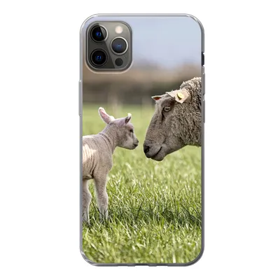 Produktbild von MuchoWow® Handyhülle Schutzhülle Hülle für iPhone 12 Pro Max Schafe - Gras - Lamm Silikon Softcase Handy Hülle - Hartschale
