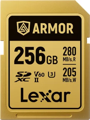Immagine prodotto di Scheda LEXAR SDXC Pro Gold Series ARMOR UHS-II 256 GB IP68 R280/W205