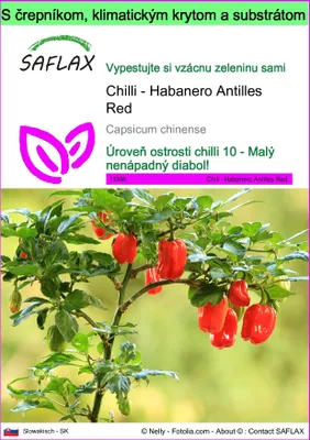Obrázok produktu pre SAFLAX Garden to go - Chilli - Habanero Antilles Red - Capsicum chinense - 10 Semená - S črepníkom, klimatickým vekom a pestovateľským substrátom