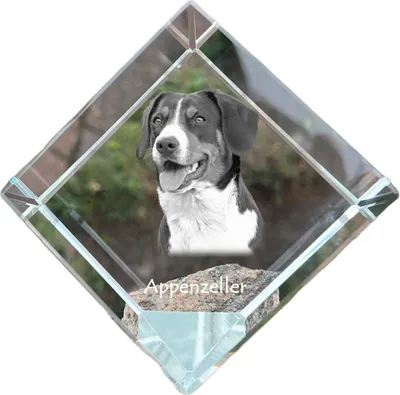 Produktbild von Appenzeller Sennenhund, Appenzellerhund - Kristallwürfel mit Bild, Pferdebild im Kristall, sechseckiger Papierclip der Marke Art-Dog