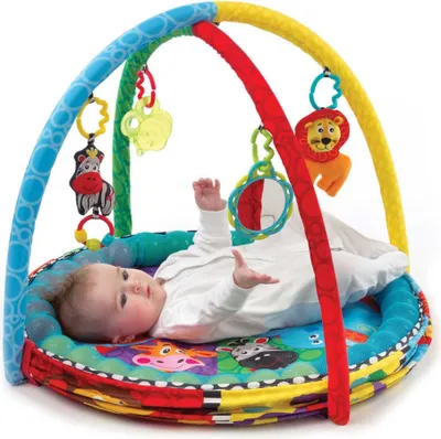 Produktbild von Playgro Spielmatte Ball Aktivitt Nest 184007