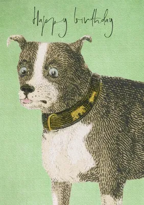 Image de Carte B6 avec enveloppe « Anniversaire Chien » - Madame Treacle