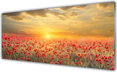 Produktbild von Acrylglasbilder 125x50 Wandbild Druck Sonne Wiese Mohnblumen Natur