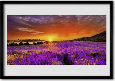 Produktbild von Bild 100x70 MDF-Rahmen Wandkunst Sonnenuntergang Lavendelfeld