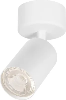 Obrázok produktu pre Stropné svietidlo Braytron, bodové svietidlo, biele, LED, pätica GU10, otočné
