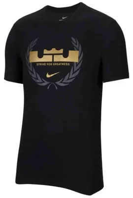Produktbild von Nike Tshirts Drifit Lebron Logo, CV2047010, Größe: 178