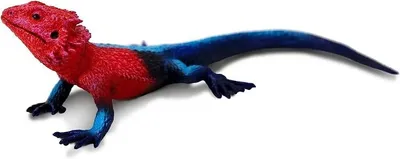 Obrázek produktu pro Safari Ltd – Figurka agama 101081