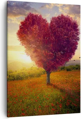 Produktbild von Bild auf Leinwand - Leinwandbild - Einteilig - Baum Wiese Blume - 50x70cm - Wand Bild - Wanddeko - Wandbilder - Leinwanddruck - Kunstdruck - Wanddekoration - Leinwand bilder - Wandbild - PA50x70-3790