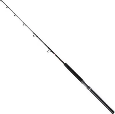 Image de Canne à traîne Penn Squall® II, noire, 1,67 m / 30-80 lb, noire, 1,67 m