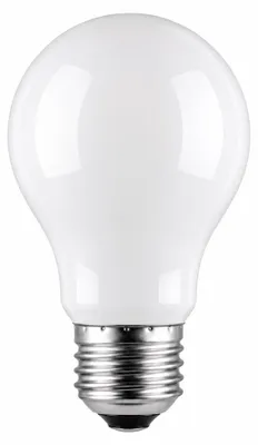 Image de West Light LED Filament A60 Birne 8W=60W E27 matt 806lm warmweiß 2700K
