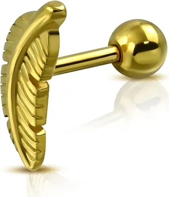 Produktbild von Tragus Ohr Piercing Stecker Helix Cartilage Barbell Feder Blatt Autiga® gold