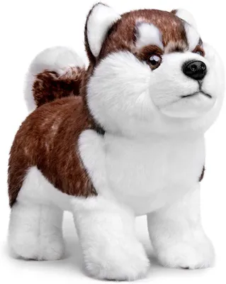 Productafbeelding van Pluche Husky-hond, realistisch, 30,5 cm, knuffel voor kinderen