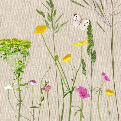Produktbild von Braun & Company Servietten Motiv natur 33 x 33 cm - 20er Pack