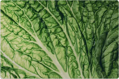 Produktbild von Küchenmatte 100x150 cm Vinylmatte Bodenmatte Dekoration -Chinakohl