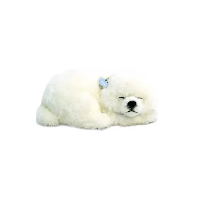 Produktbild von Perfect Petzzz Malteser Plüschtier 25cm, lebensecht schlafend mit Atmung