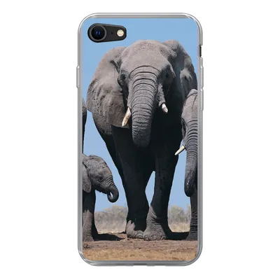 Produktbild von MuchoWow® Handyhülle Schutzhülle Hülle für iPhone 8 Elefant - Prärie - Tiere - Natur Silikon Softcase Handy Hülle - Schutzhaube