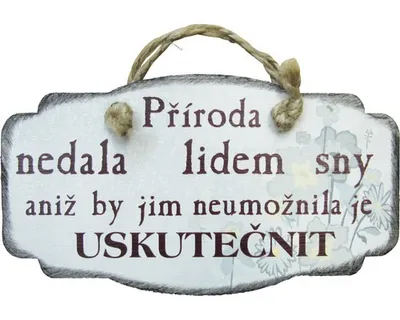 Obrázek produktu pro Dřevěná dekorace na zeď, cedule s nápisem 1018-2 10x18 cm