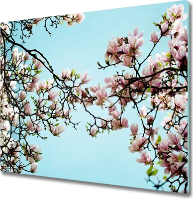 Produktbild von Glas Herdabdeckplatte 60x52 cm Spritzschutz Glasabdeckplatte Schneidebrett Magnolie Blumen