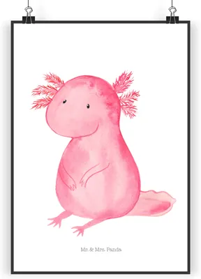 Produktbild von Mr. & Mrs. Panda Bild Axolotl Niedlich DIN A4 - Weiß - Geschenk, Wandbild, Lebensstil, Plakat, Liebe, wanddeko, Lebensweisheit, Fröhlich, Freundin, drucke, Kunstdruck