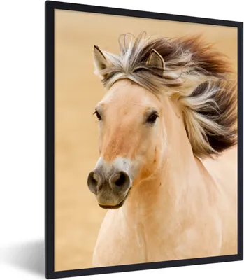Produktbild von MuchoWow® Gerahmtes Poster Pferde - Tiere - Mähne - Porträt 60x80 cm - Poster mit Schwarzem Bilderrahmen Wandposter Rahmen Foto Bilder - Premium - Wanddeko Wohnzimmer