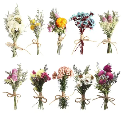 10er-Set natürliche Trockenblumensträuße, Dekoblumen