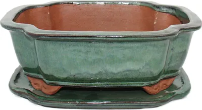 Image de bol bonsaï avec soucoupe taille 4 - haitang i4 - vert - l 26cm - b 20,5cm - h 8,5cm