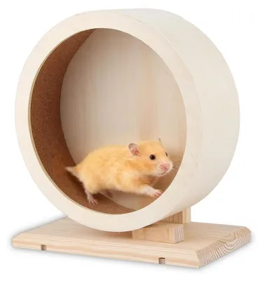 Produktbild von Holz Hamster Laufrad 20 cm, Leise mit Korkstreifen und Standfuß für Kleintiere