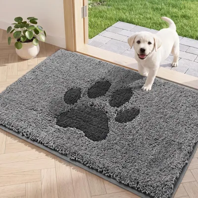 Productafbeelding van Binnenmat, vuilafschermmat, loopmat, grijs, 60 x 90 cm