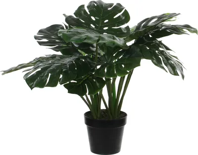 Image de Mica Decorations Plante artificielle Monstera - 80x80x60 cm - Polyester - Vert
